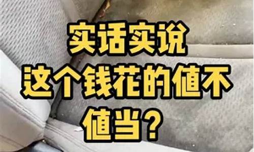 沉浸式二手车美容_二手车美容项目好不好